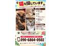 9/28＿No.157　雑種(読谷村)