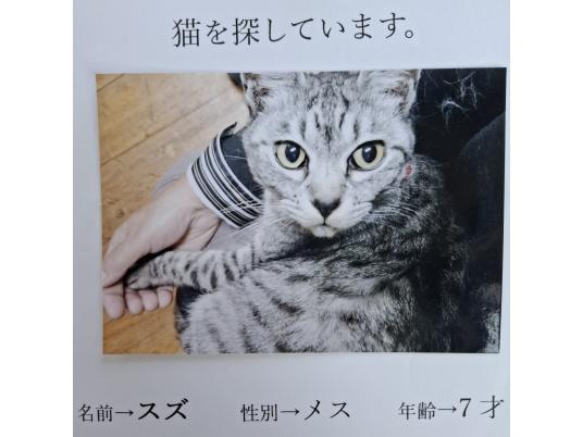 枚目写真
