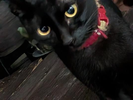 枚目写真