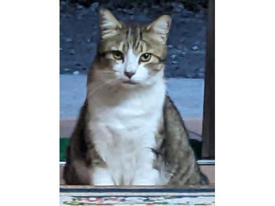 枚目写真