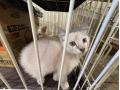 推進棟　ビアンカ
