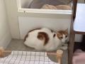 推進棟　とんとん
