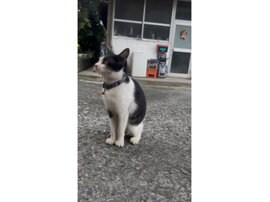 2枚目写真