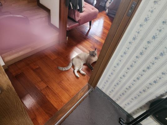 2枚目写真