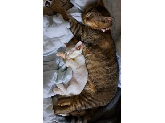 2枚目写真