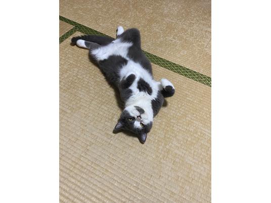 2枚目写真