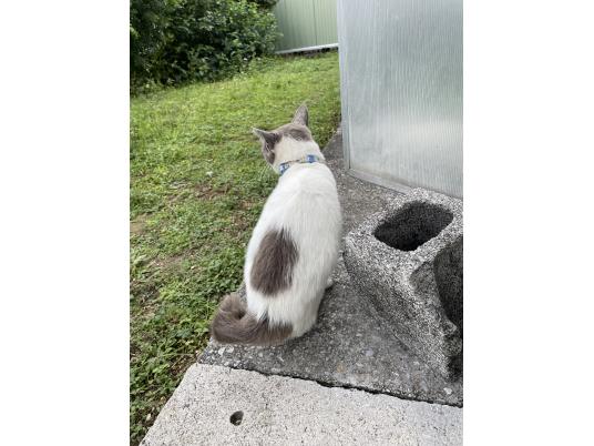 2枚目写真