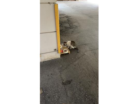 2枚目写真