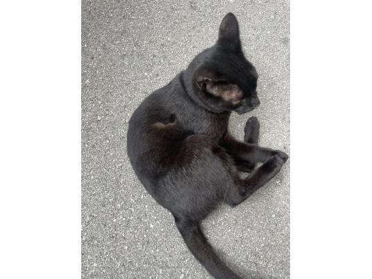2枚目写真