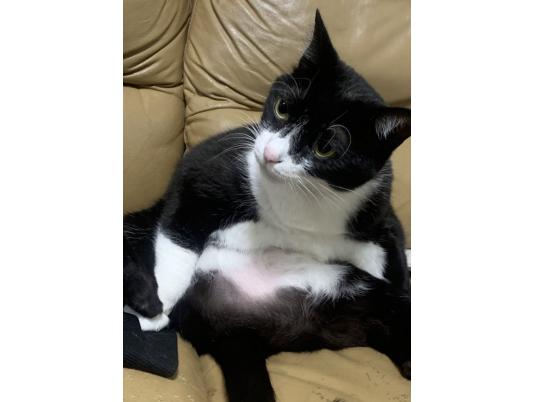 2枚目写真