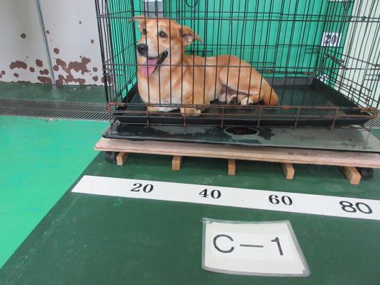 2枚目写真