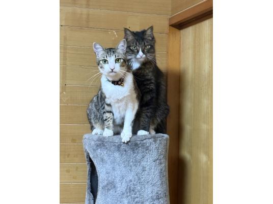 2枚目写真