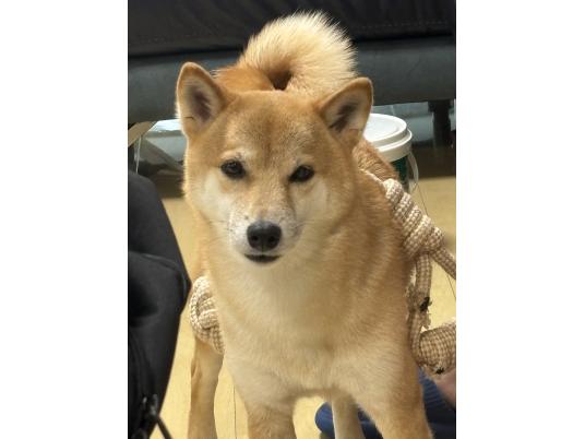 2枚目写真