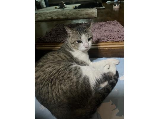 2枚目写真