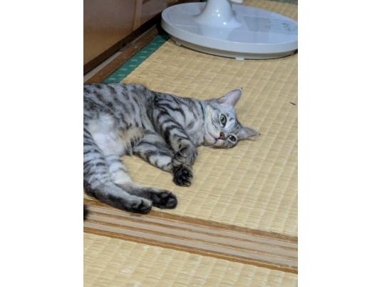 2枚目写真