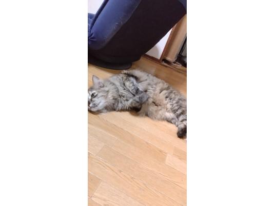 2枚目写真