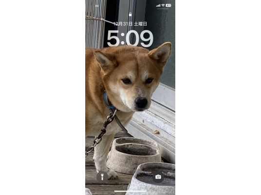 2枚目写真