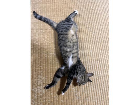 2枚目写真