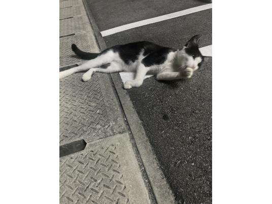 2枚目写真