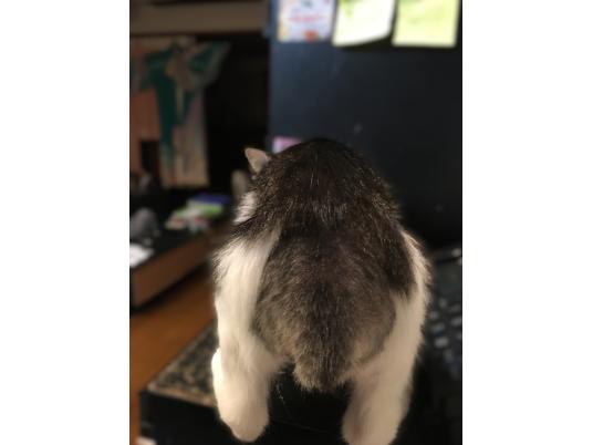2枚目写真