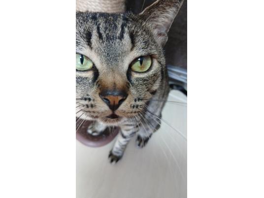 2枚目写真