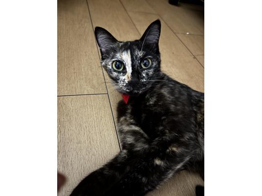 2枚目写真