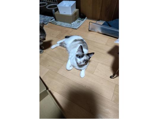 2枚目写真