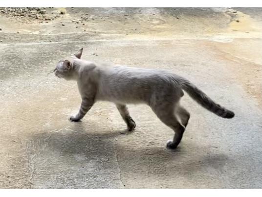 2枚目写真