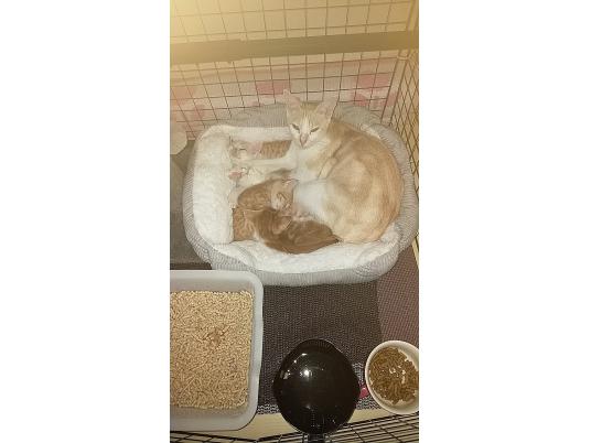 2枚目写真