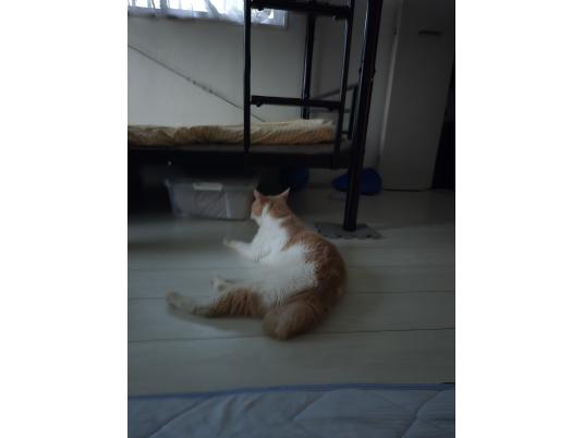 2枚目写真