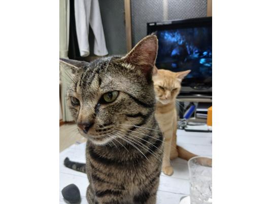 2枚目写真