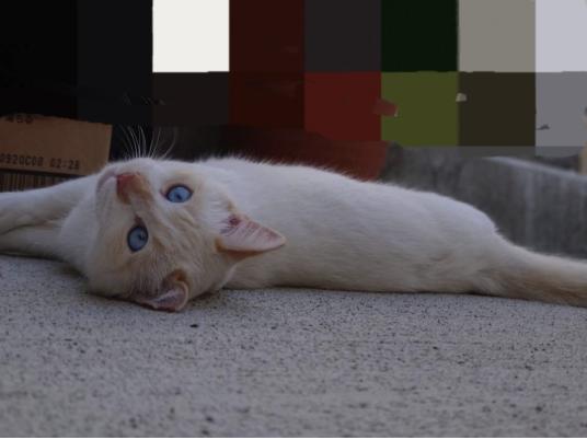 2枚目写真
