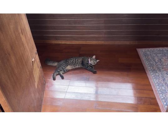 2枚目写真