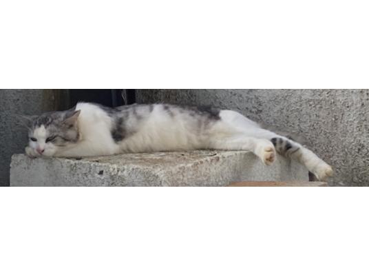 2枚目写真