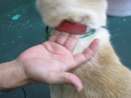 2枚目写真