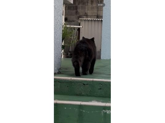 2枚目写真