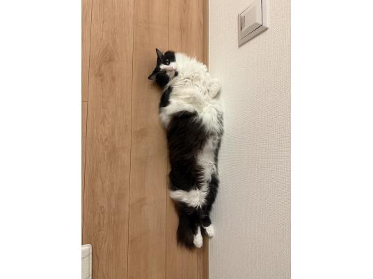 2枚目写真