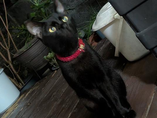 2枚目写真