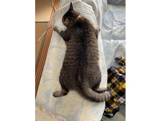 2枚目写真