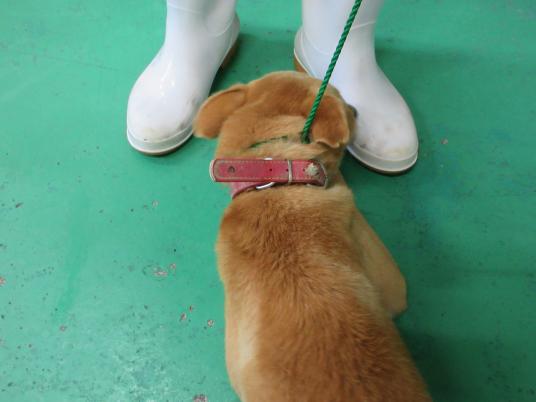 2枚目写真
