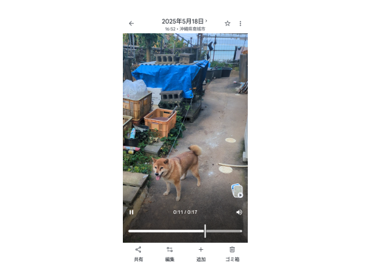 2枚目写真