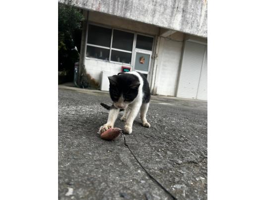 3枚目写真