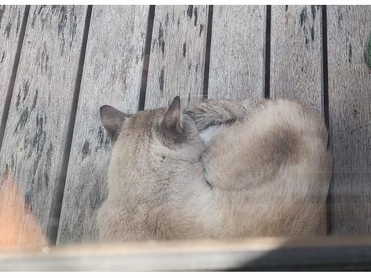3枚目写真