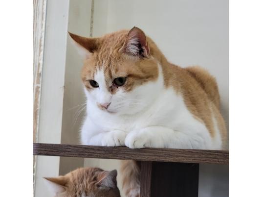 3枚目写真