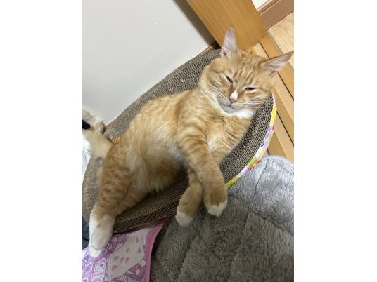 3枚目写真