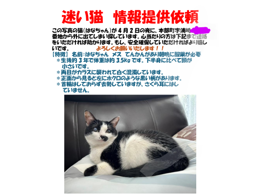 3枚目写真