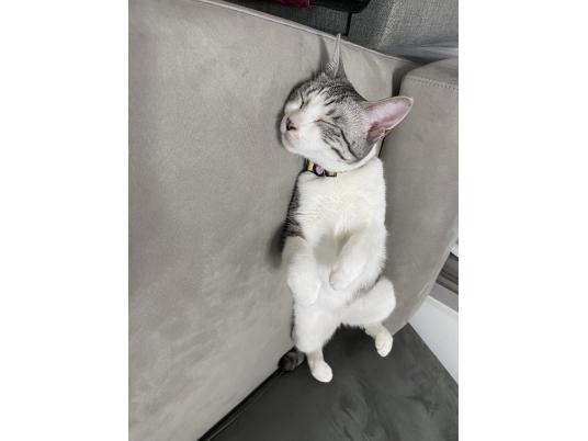 3枚目写真