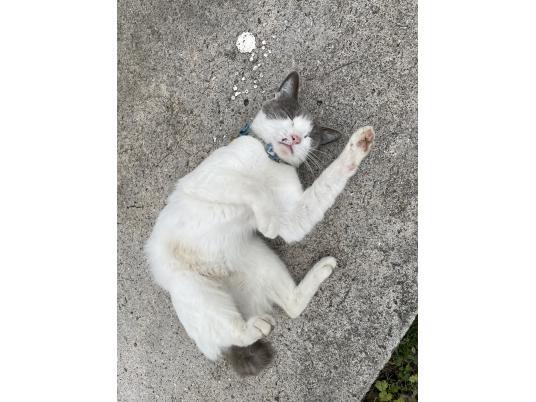 3枚目写真