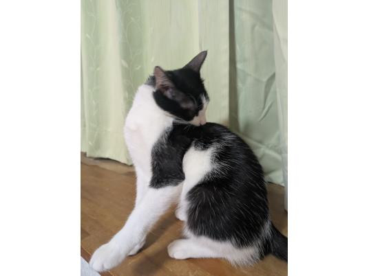 3枚目写真