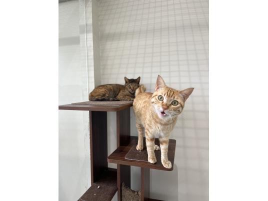 3枚目写真
